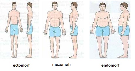 fat burning na orbituu