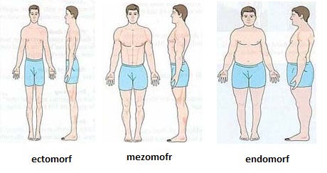 pierde ectomorful de grăsime