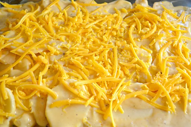 Cheesy-Scalloped-Potatoes-Cheese-Sauce-Cheese.jpg