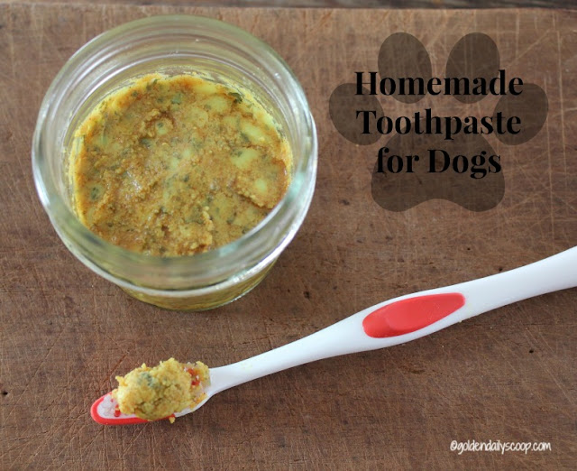 how to make an easy homemade dog toothpaste