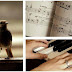 What can music do for us?