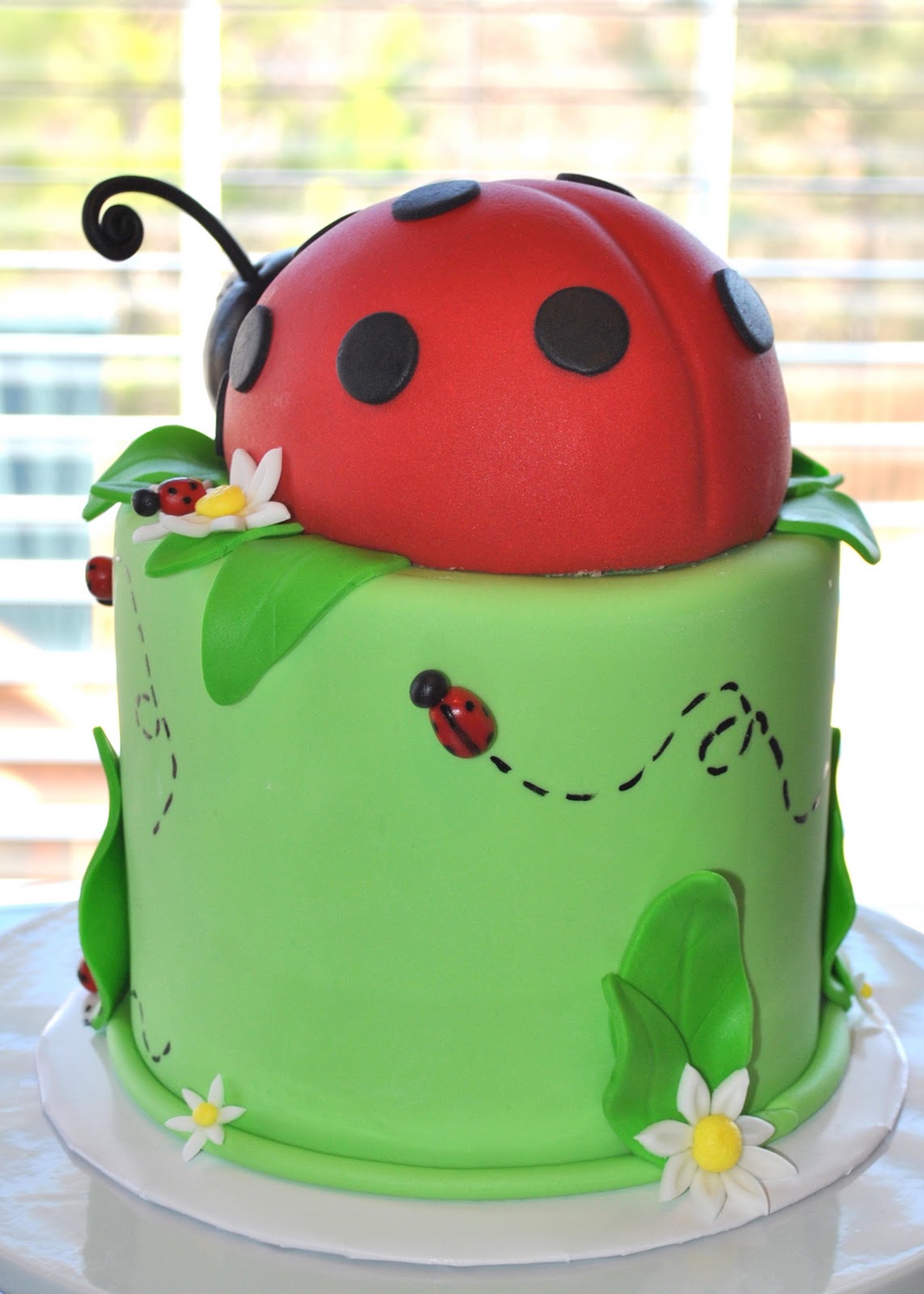 Hope's Sweet Cakes Mini Lady Bug Cake