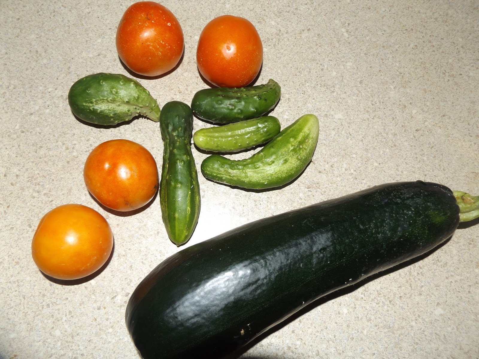 Vegans Living Off the Land Trying hairy ball fruit for the first time