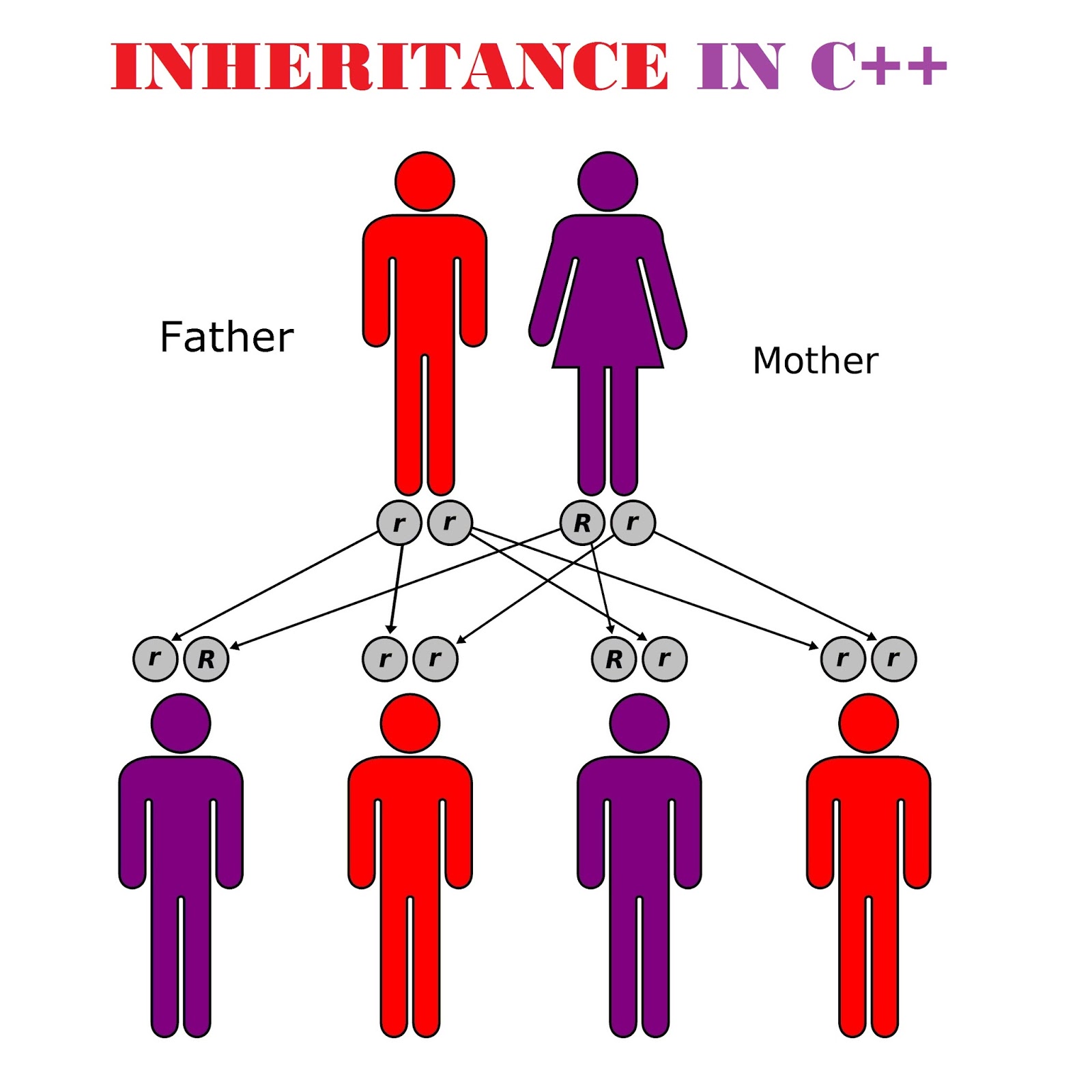 INHERITANCE IN C++ (5) - Narendra Aliani