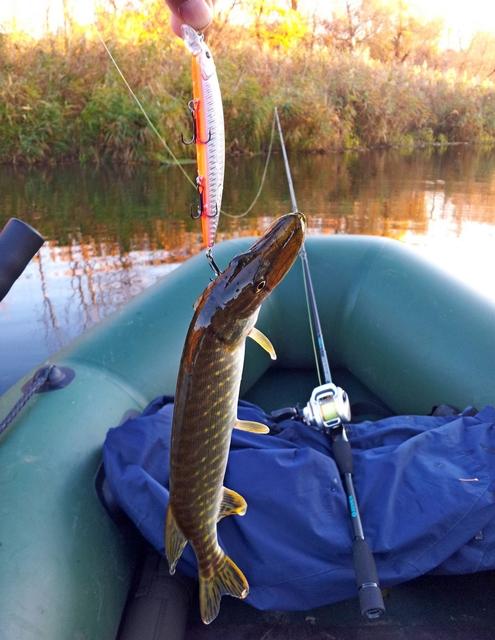 Советы для рыбалки. Весенняя щука. Сон поймал щуку на удочку. Сон поймал щуку на удочку. Сон поймал щуку на удочку.