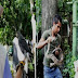Decomisan 92 animales del zoológico de Veracruz