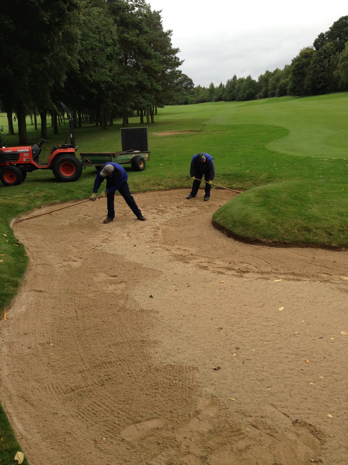 Malton and Norton Golf Club Greens Department Bunker maintenance