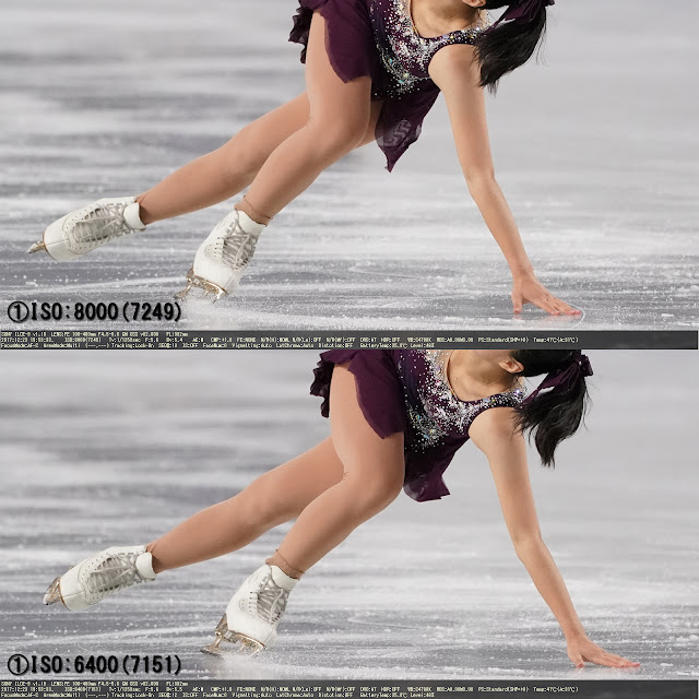 SONY ILCE-9 FE 100-400mm F4.5-5.6 GM OSS ISO:Auto CMP:+1.0 F:5.6 Tv:1/1250s(ES)