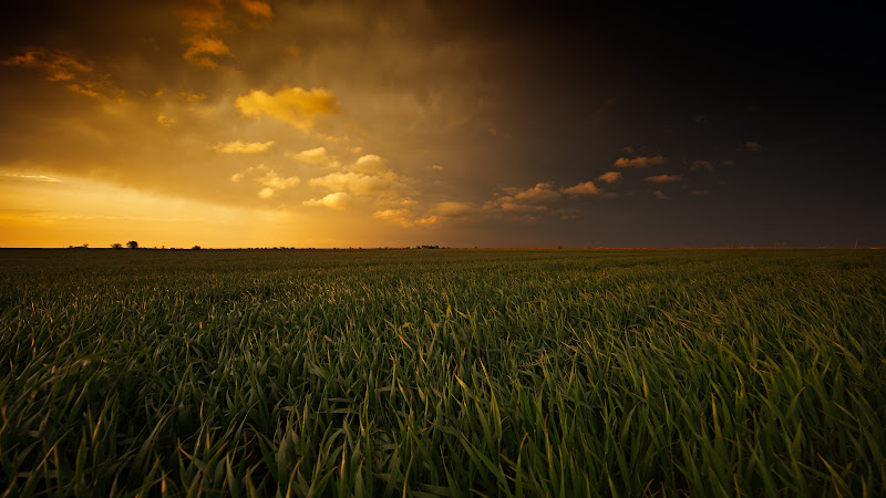 Breathtaking Sunset. Painted Plains