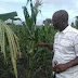 Benue State Govt expresses interest in IFAD programme