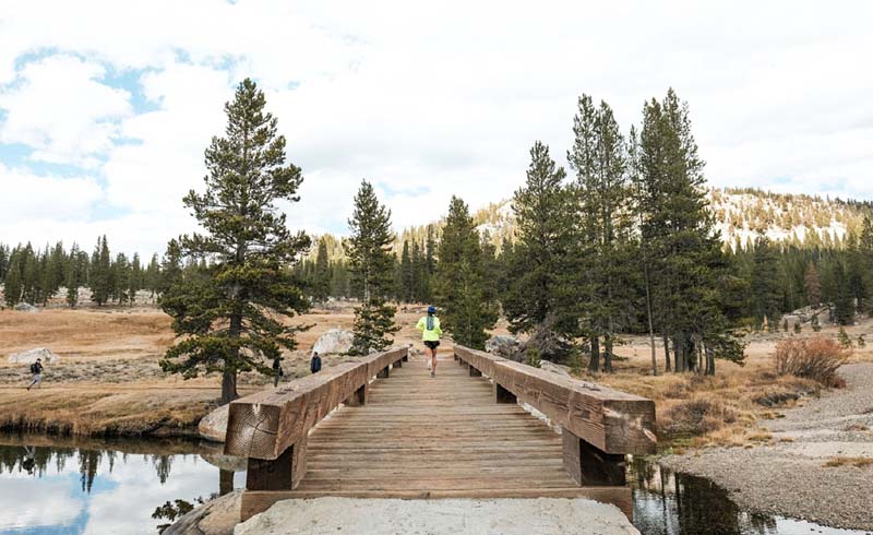 Tuolumne Meadows