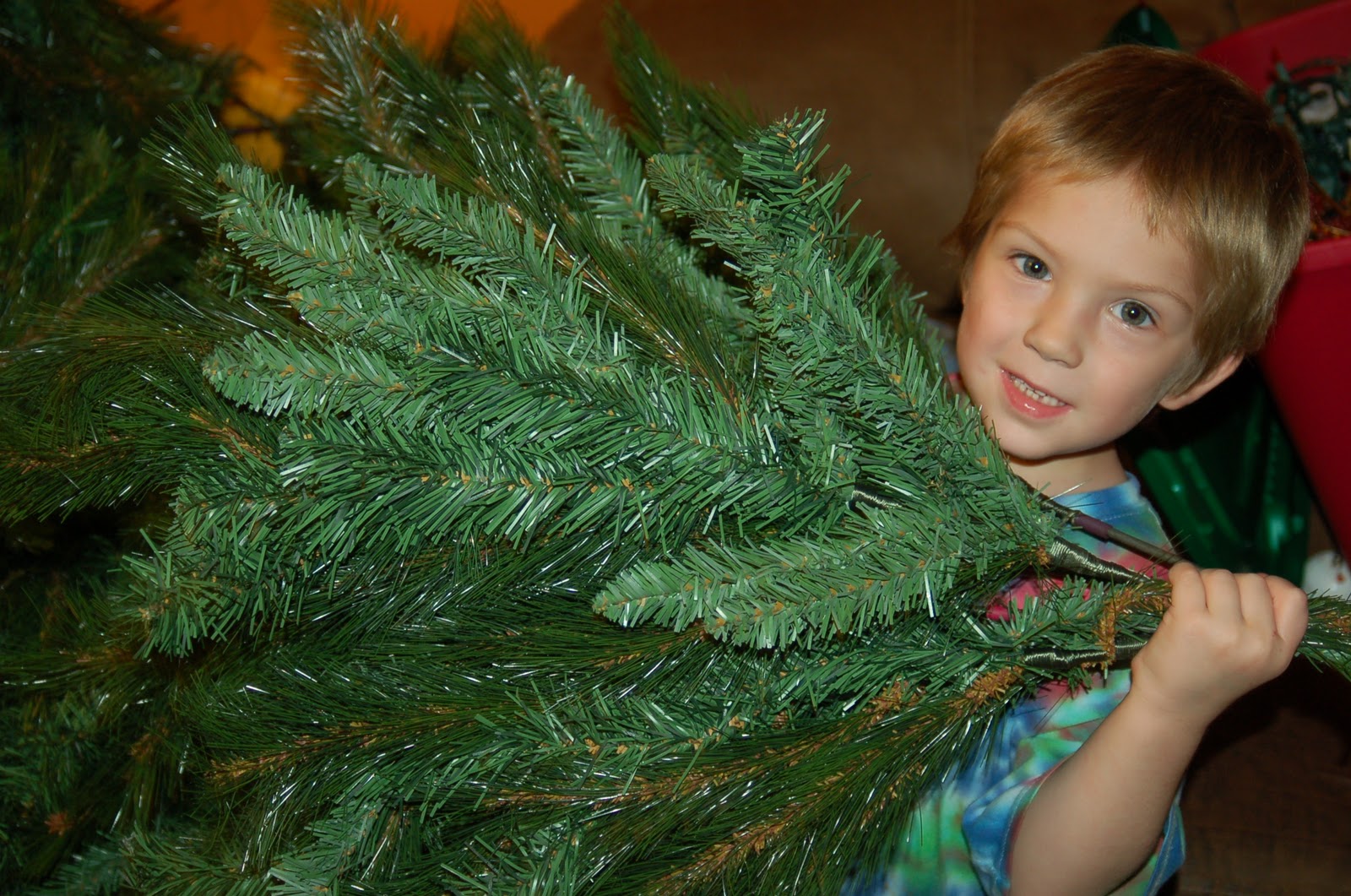 Holiday Traditions Putting up the Christmas Tree