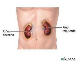 Franniris Campos Vargas: Abdomen!!!