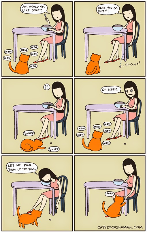 Cat Food Comparable To Hill S Prescription Diet A D Cat Food Comparable To Hill S Prescription Diet A D