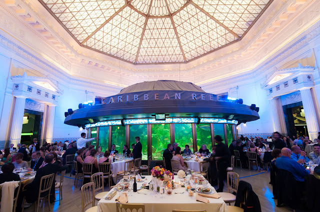 Aquarium Wedding Venues Shedd Aquarium Aquarium Wedding Venues Shedd Aquarium