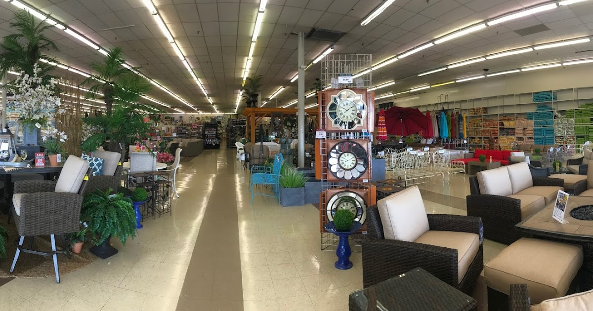 Trees n Trends A Visit to Trees n Trends Awakens Your Senses