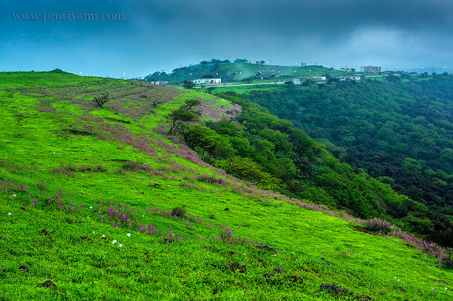 ���� ���� ������ �� ���� ������