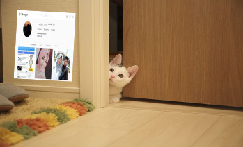 Cara Mengetahui Orang Yang Mengunjungi Profil Instagram Kita cara mengetahui stalking profil instagram