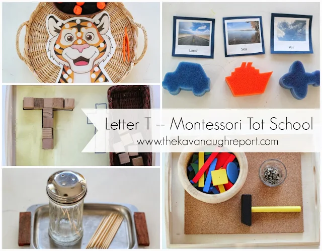 Ideas for toddlers to explore the letter T. This tot school unit explores tools, tigers, tweezers, transportation and more! 