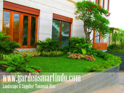Jasa Tukang Taman Surabaya Gardensmartindo