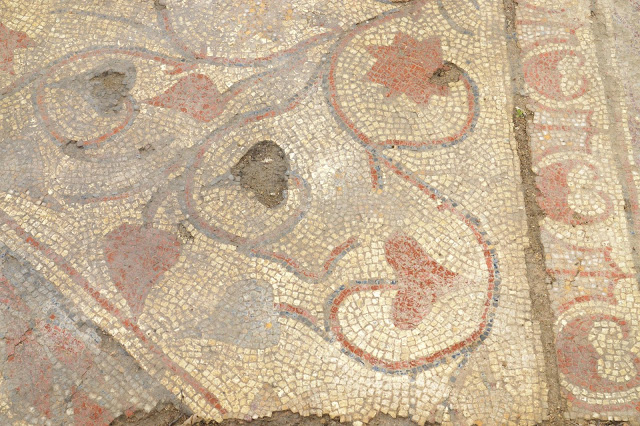 Roman 'domus' with mosaic floors unearthed in Auch, France Roman 'domus' with mosaic floors unearthed in Auch, France
