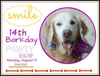 http://www.sugarthegoldenretriever.com/2015/07/this-moment-see-beautiful-sugars-14th-barkday-countdown/