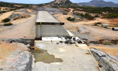 oiticica