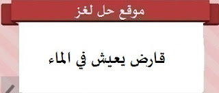 قارض يعيش في الماء قارض يعيش في الماء