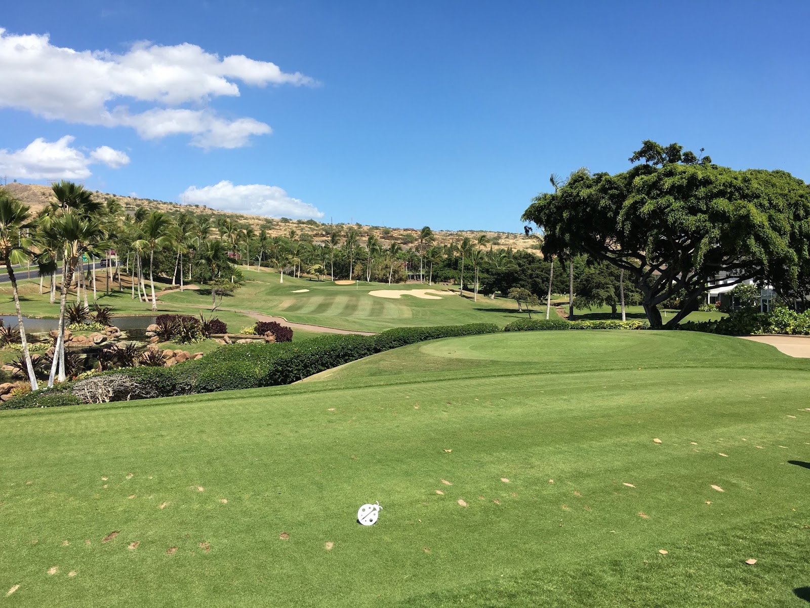 GREAT EATS HAWAII: KO #39 OLINA GOLF COURSE