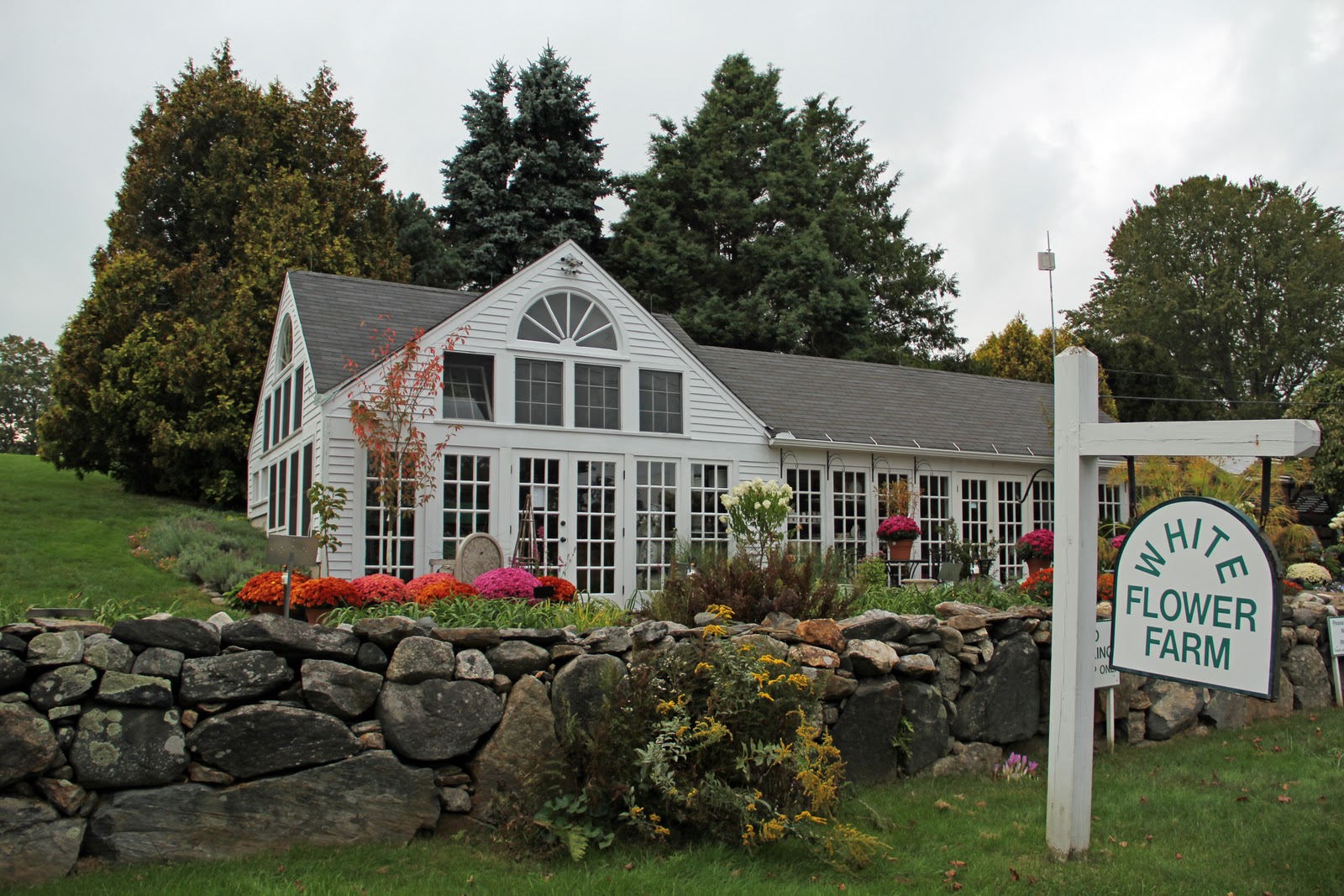 Southwest Daily Images White Flower Farm