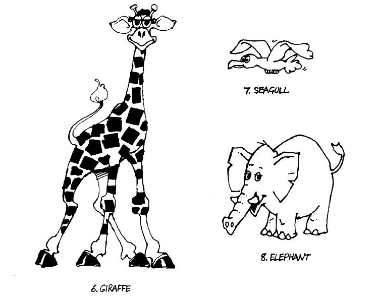 Kumpulan Gambar Binatang Bahasa Inggris Seagull Giraffe Elephants Jerapah