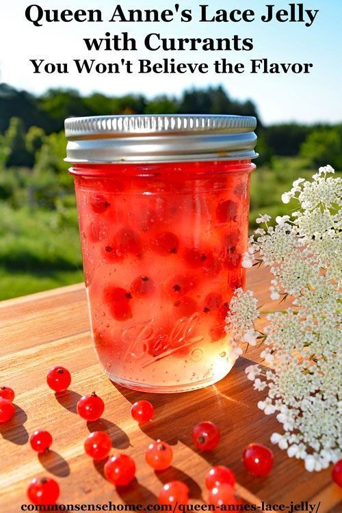 Queen Anne's Lace Jelly with Currants