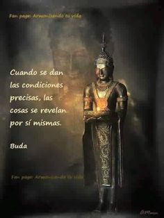 Según Buda, cuando se dan las condiciones precisas,