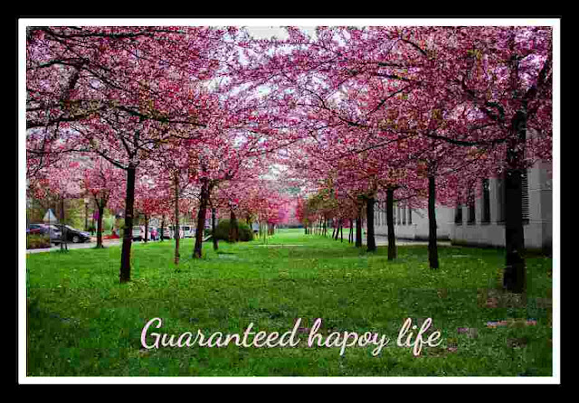 25 secretes of a guaranteed happy life