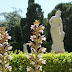Jardines de Monforte (Valencia)