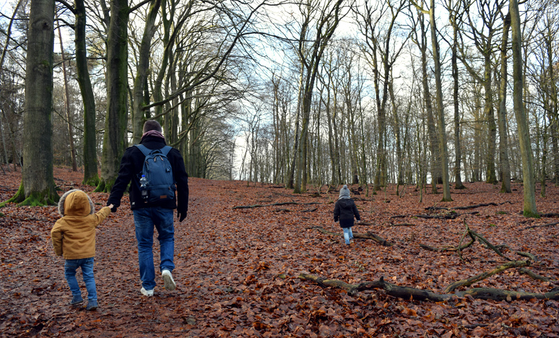 Kindvriendelijke wandeling Veluwezoom Kindvriendelijke wandeling Veluwezoom