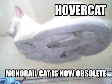 HOVERCAT: monorail cat now obsolete