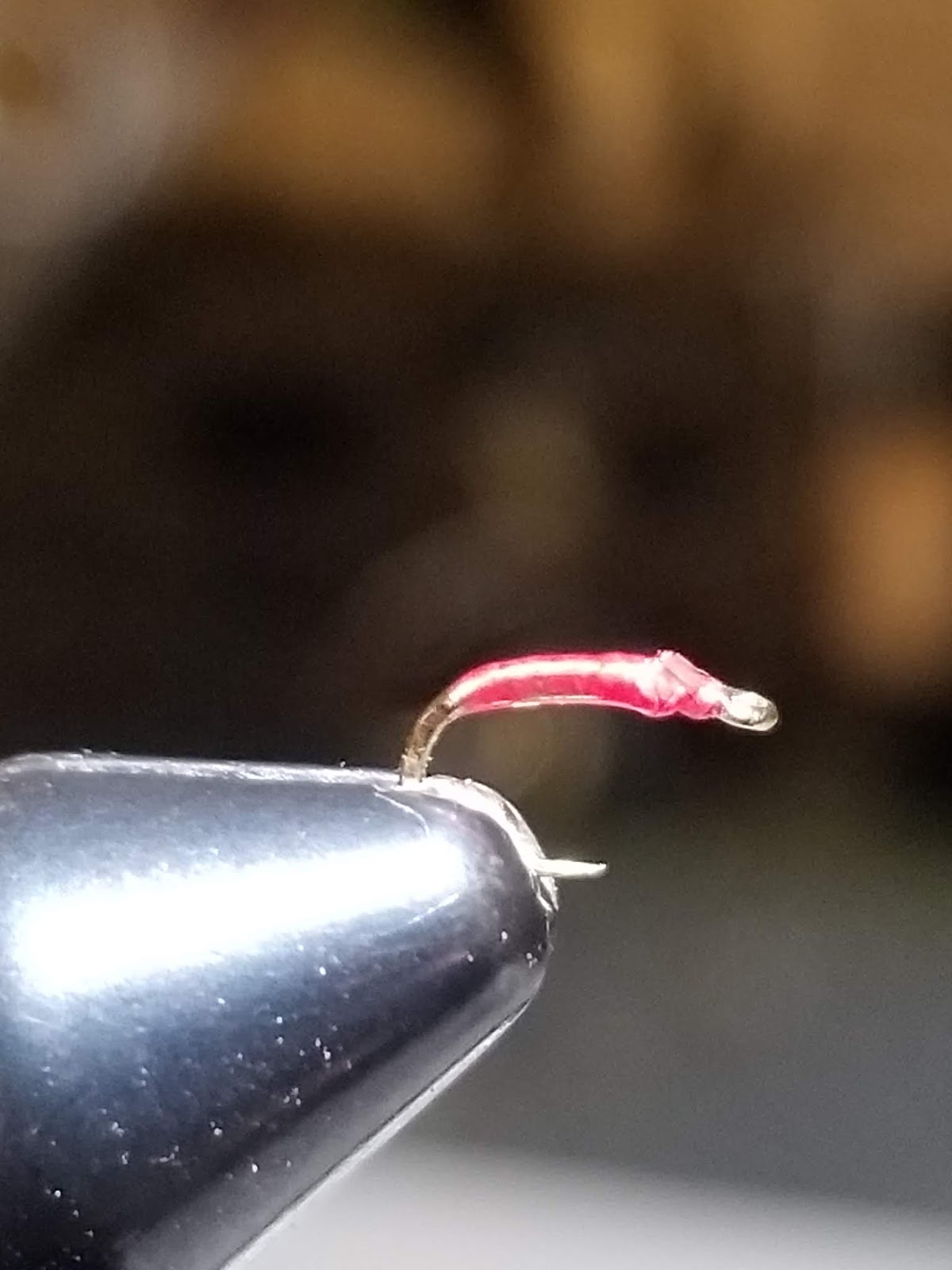 Welcome to the Millers River Fly Fishing Forum : The EB, The Swift, Blood  Worms