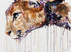dave watercolor paintings artist lion watercolour painting animal artists animals david dripping british london puma cougar paint drips fine drip