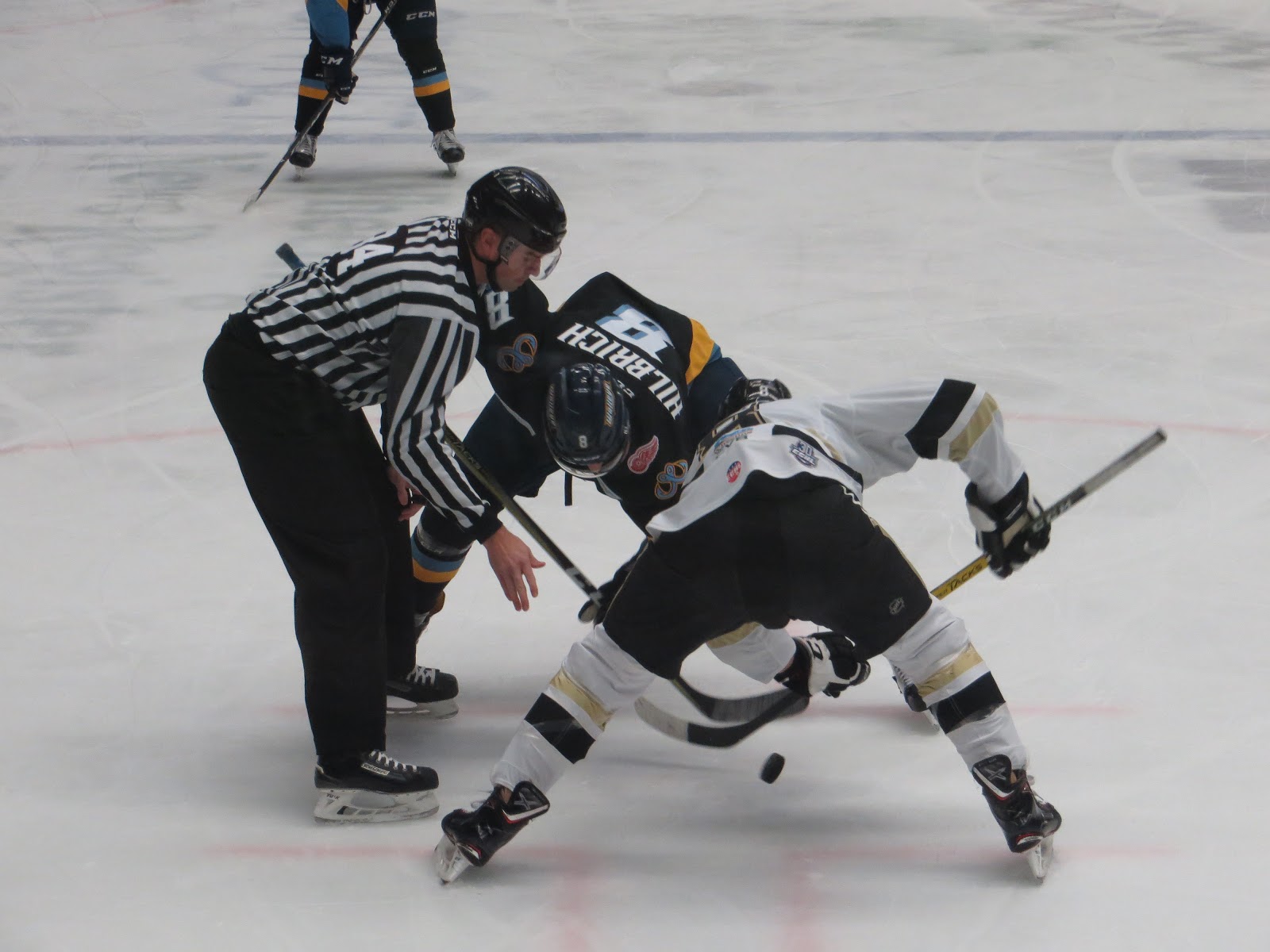 Minor League Matters Wheeling Nailers