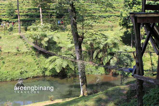 agrowisata perkebunan teh pagilaran batang