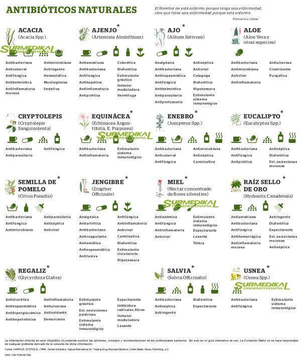 antibioticos naturales remedios naturales