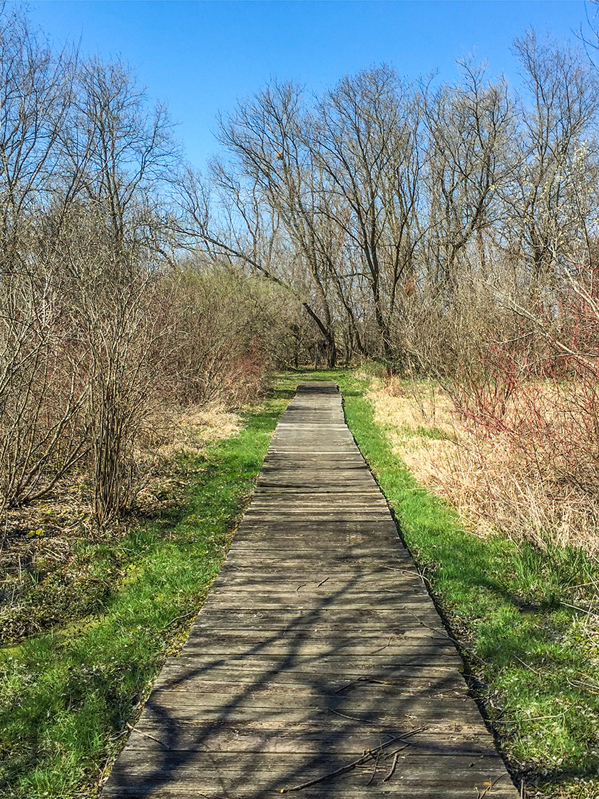 Ice Age Trail Clover Valley Segment