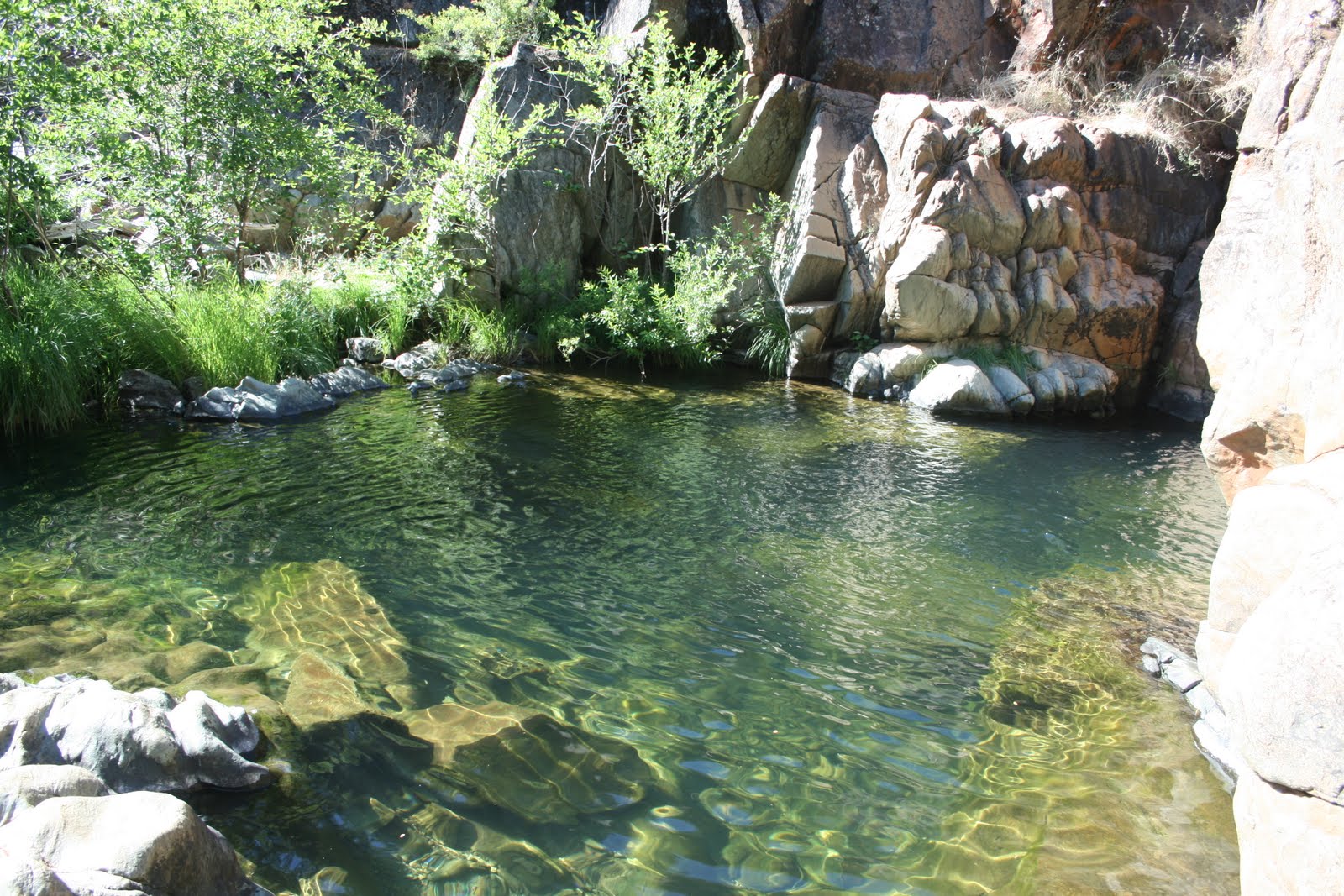 Just Pack the Kids Watering hole