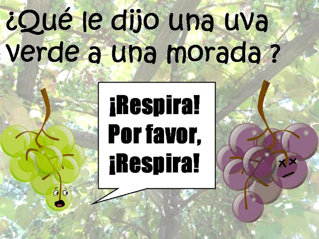 Humor grafico chistes y imagenes graciosas YouTube