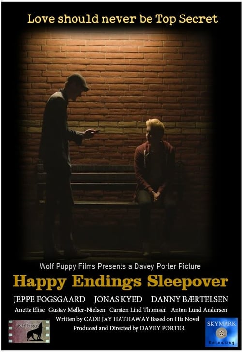 [HD] Happy Endings Sleepover 2019 Pelicula Online Castellano