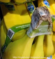 Warping Chiquita Bananas