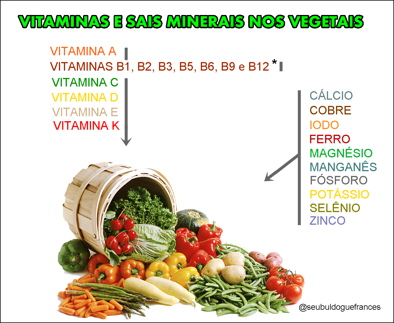 vegetales vitamina b12