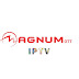 NOUS VOUS PROPOSONS DES SERVEURS IPTV ABONNEMENTS SUPTV OSCAM CCCAM 12 MOIS