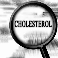 Jenis dan Macam Kolesterol
